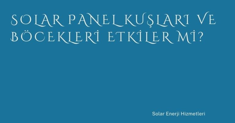 12 Solar Panel Kuslari Ve Bocekleri Etkiler Mi | Türkiye Rehber