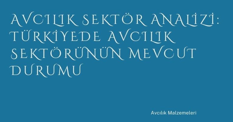 25 Avcilik Sektor Analizi Turkiyede Avcilik Sektorunun Mevcut Durumu | Türkiye Rehber