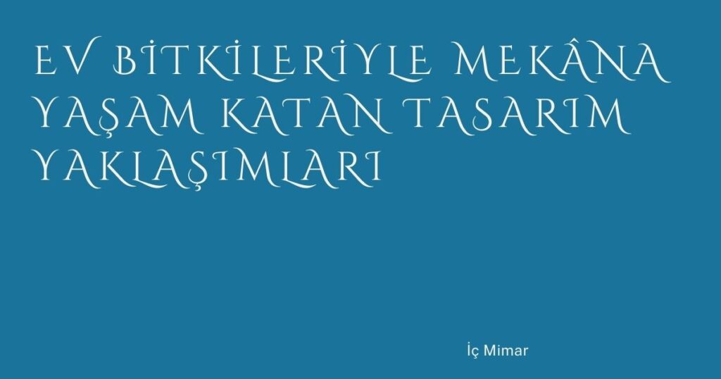 Ev Bitkileriyle Mekâna Yaşam Katan Tasarım Yaklaşımları Ev Bitkileriyle Mekâna Yaşam Katan Tasarım Yaklaşımları