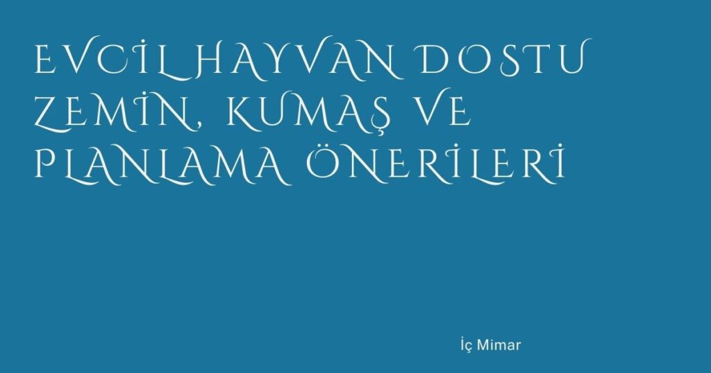 Evcil Hayvan Dostu Zemin, Kumaş ve Planlama Önerileri