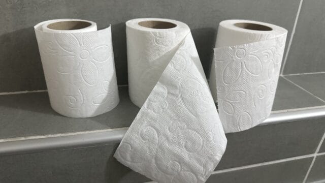 Tuvalet kağıdı ruloları