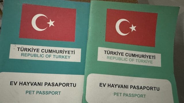 Ev hayvanı pasaportu pet passport